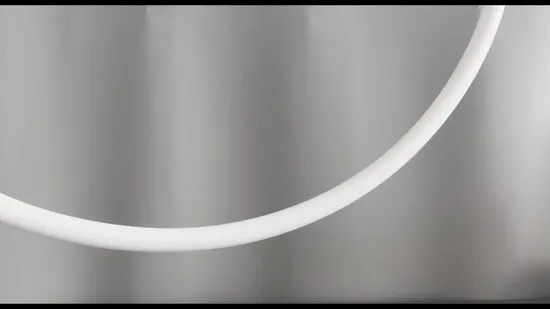 Premium Durable PTFE O-Ring for Flange Connectors - High Performance